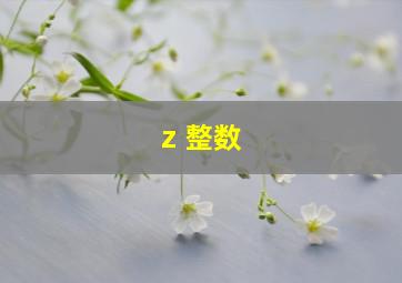 z 整数